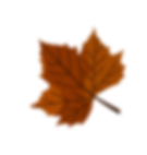 Brown leaf left