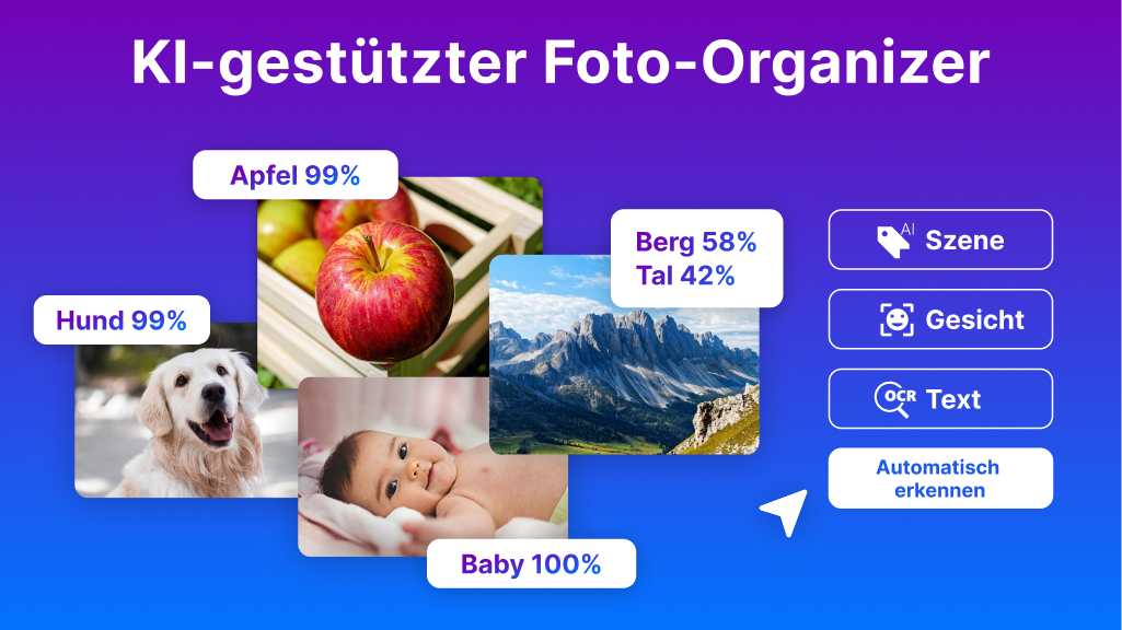 Nero AI Photo Tagger 2026 - Screenshot