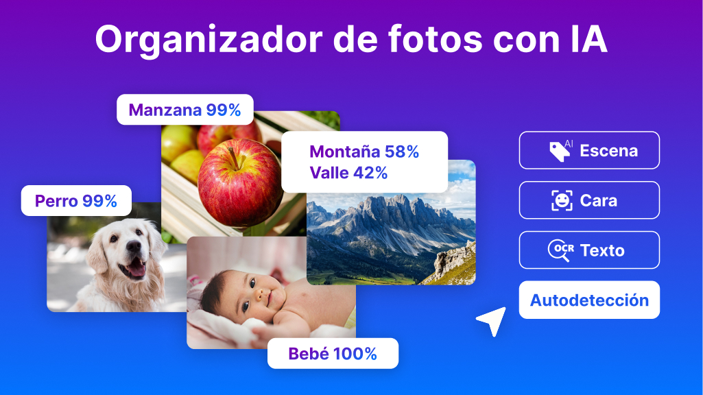 Nero AI Photo Tagger 2026 - Screenshot