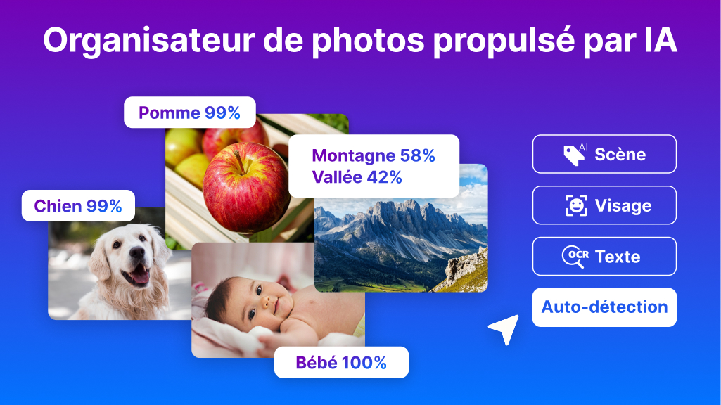 Nero AI Photo Tagger 2026 - Screenshot